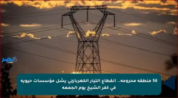 56 منطقة محرومة.. انقطاع التيار الكهربائي يشل مؤسسات حيوية في كفر الشيخ يوم الجمعة